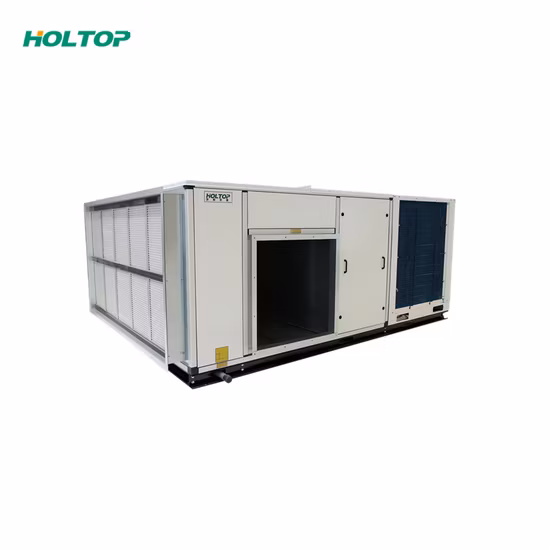 Sistema de unidad de tratamiento de aire Holtop Rooftype Ahu